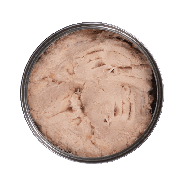 White tuna - Open can